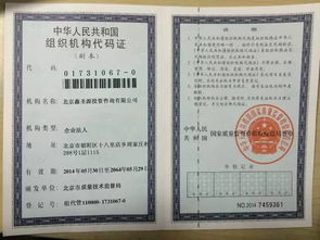 从一万到三十万的跃迁 揭秘北京信息技术咨询服务的财富密码