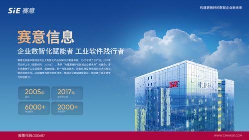 赛意信息入选2024行业软件企业活力与服务力Top30，彰显北京信息技术咨询服务实力
